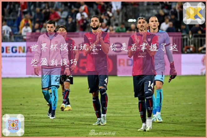 世界杯投注玩法：你是否掌握了这些盈利技巧