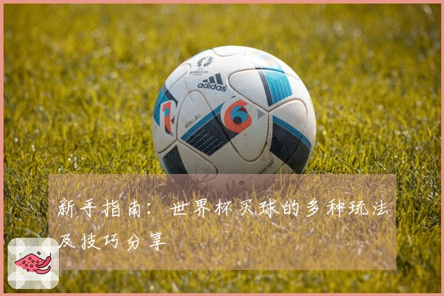 新手指南：世界杯买球的多种玩法及技巧分享