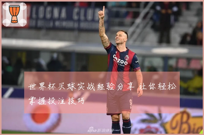 世界杯买球实战经验分享 让你轻松掌握投注技巧