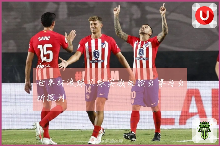 世界杯滚球买球实战经验分享与分析探讨