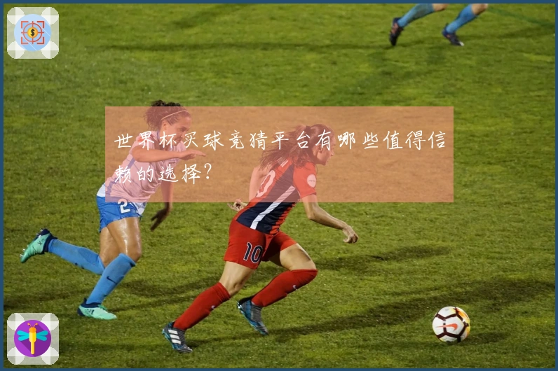 世界杯买球竞猜平台有哪些值得信赖的选择？