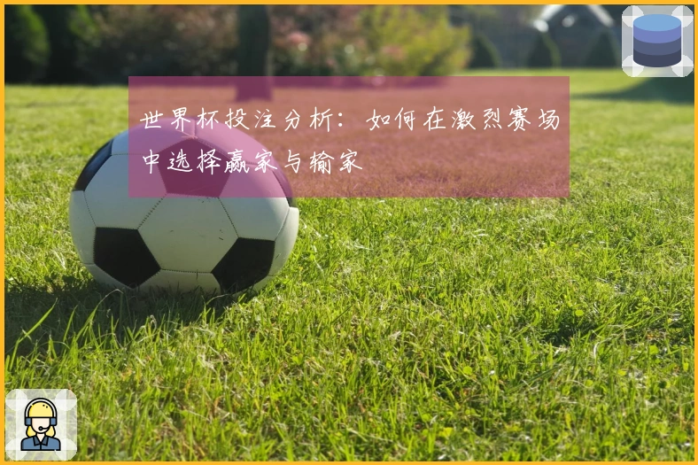 世界杯投注分析：如何在激烈赛场中选择赢家与输家