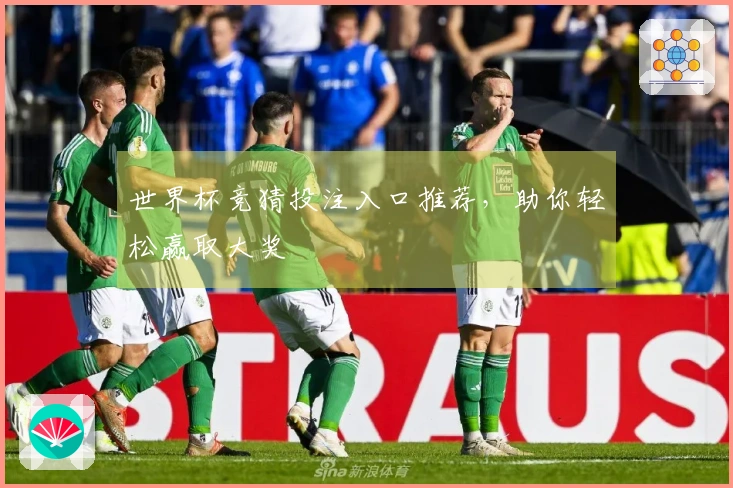 世界杯竞猜投注入口推荐，助你轻松赢取大奖