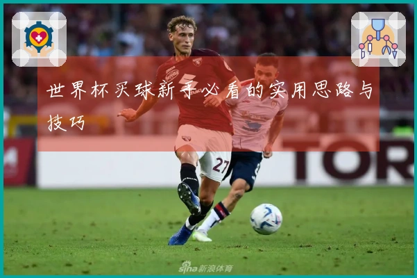 世界杯买球新手必看的实用思路与技巧