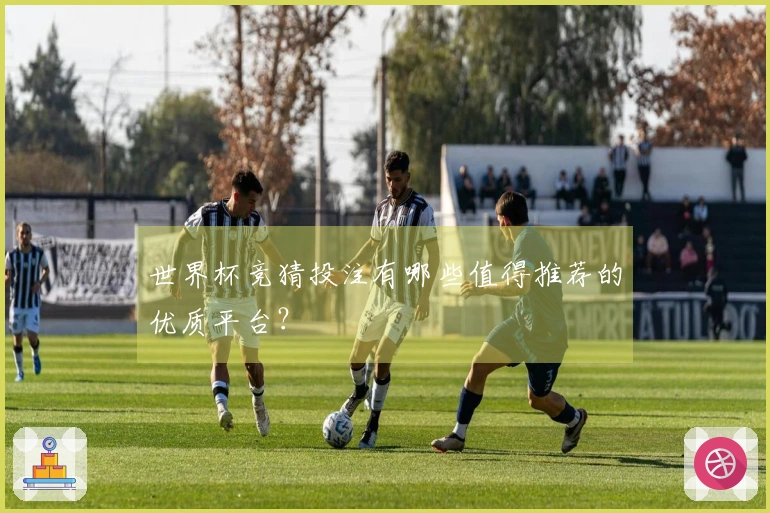 世界杯竞猜投注有哪些值得推荐的优质平台？