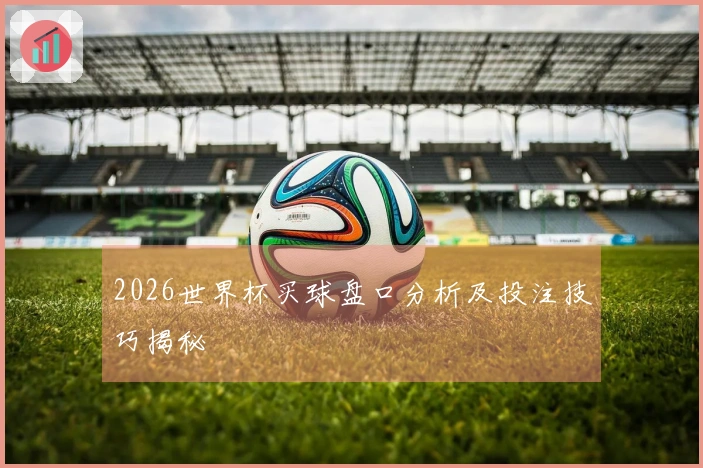 2026世界杯买球盘口分析及投注技巧揭秘