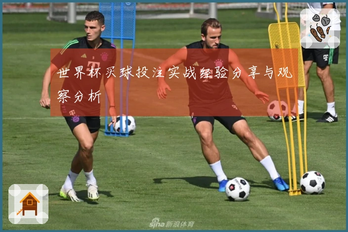 世界杯买球投注实战经验分享与观察分析